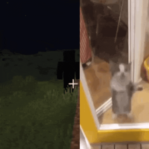 a screenshot of a video game and a picture of a cat standing next to a window .