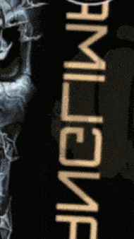 a picture of a skeleton with the word ring on the bottom