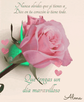 a pink rose is surrounded by hearts and a quote in spanish