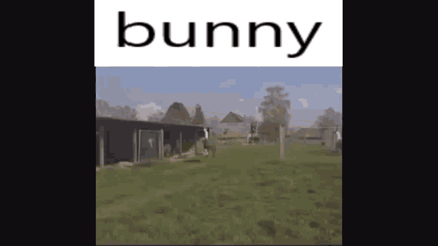 a picture of a horse in a field with the word bunny on the top