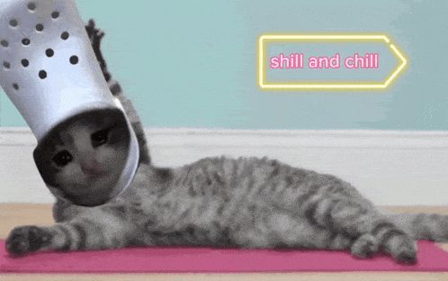 a cat is laying on a yoga mat with a croc on its head and a sign that says chill and chill