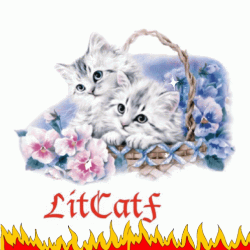 Litcatfam Lcf GIF - Litcatfam Lcf Lit GIFs