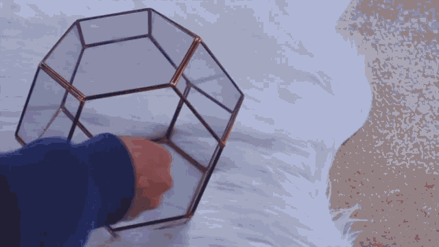 a person is holding a blue ball in a glass container