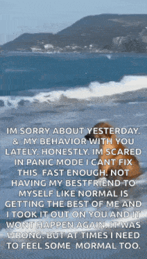 a person is standing on a beach with a quote about their behavior