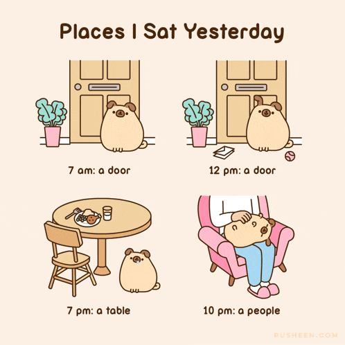 a cartoon of a pug with the words places i sat yesterday on it