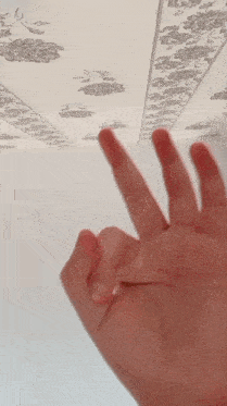 a person 's hand is making a peace sign in front of a floral ceiling