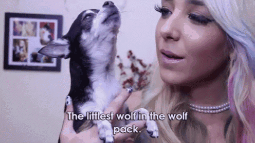 Tiny Howl GIF - Jenna Marbles Little Wolf GIFs