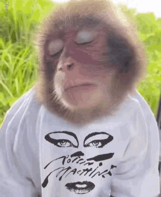 a monkey is wearing a white shirt that says ' porter machines ' on it