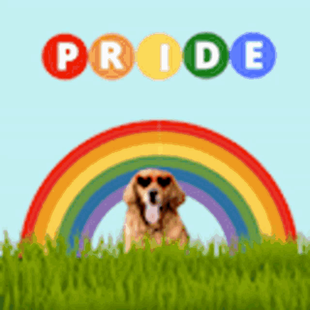 Dog Rainbow GIF - Dog Rainbow Pride GIFs