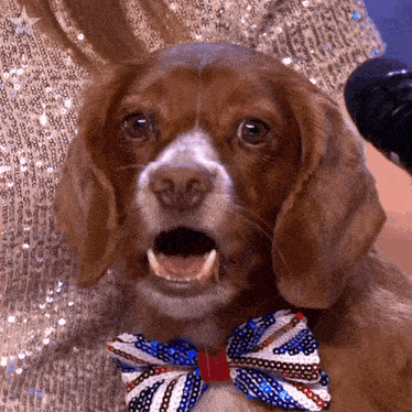 Dog Singing Mouse GIF - Dog Singing Mouse Britain'S Got Talent GIFs