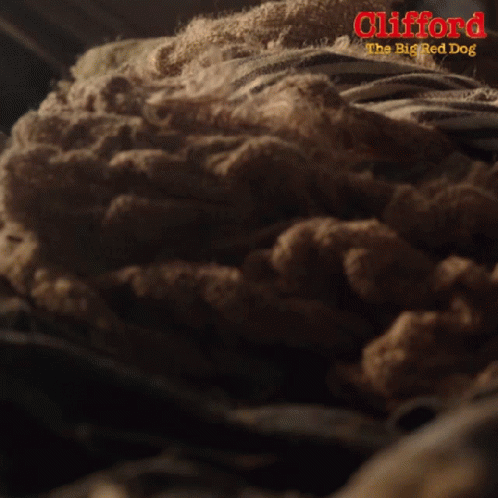 Wagging Tail Clifford GIF - Wagging Tail Clifford Clifford The Big Red Dog GIFs