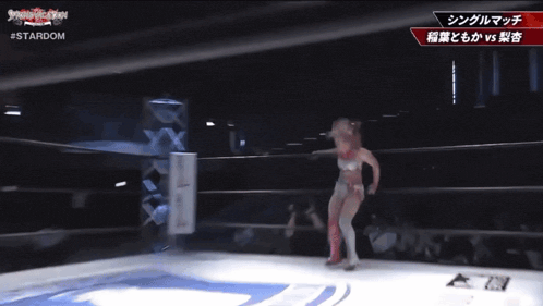 two women are wrestling in a ring that says #stardom on the bottom