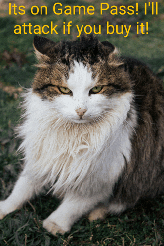 a cat is laying in the grass with the words " its on game pass i 'll attack if you buy it "