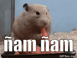 a hamster is eating a carrot in front of a sign that says ham ham .