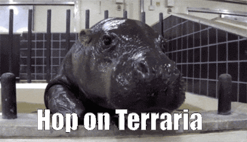 a hippopotamus is laying in a bathtub with the caption hop on terraria