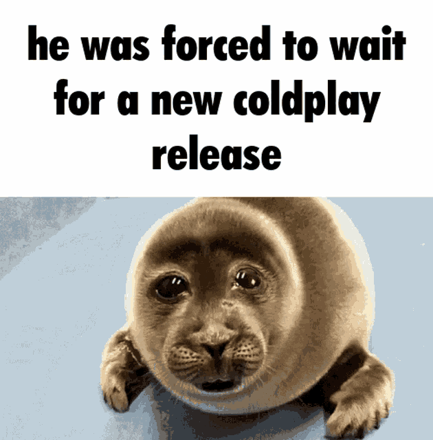 Coldplay He Was Forced To GIF - Coldplay He Was Forced To Seal GIFs