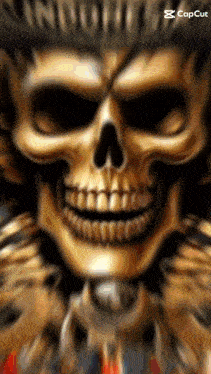 a close up of a skull with a crown on it