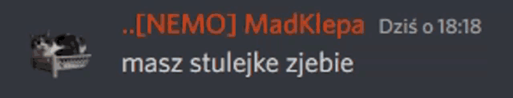a screenshot of a chat with a cat and the words nemo madklepa