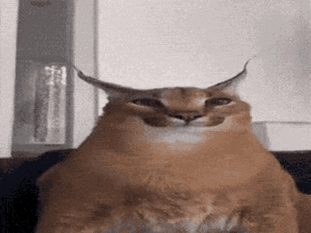 a cat with horns is sitting on a couch and smiling .