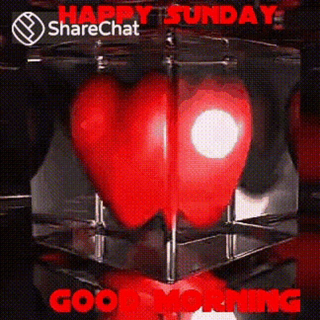 a red heart is in a glass cube with the words `` happy sunday `` written on it .
