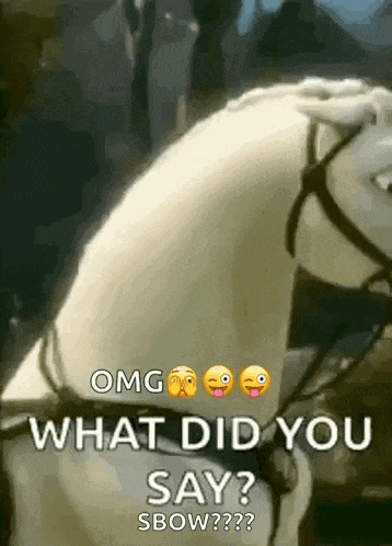 a white horse with a bridle and a caption that says `` what did you say ? sbow ? '' .