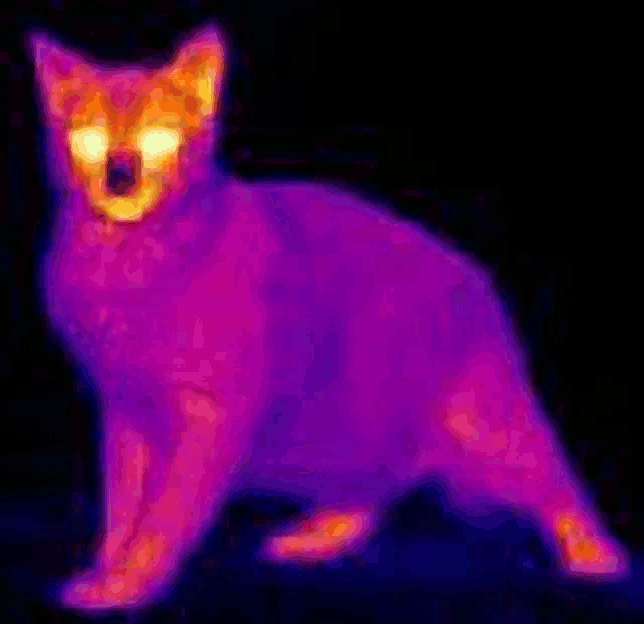 a thermal image of a cat with its eyes glowing in the dark