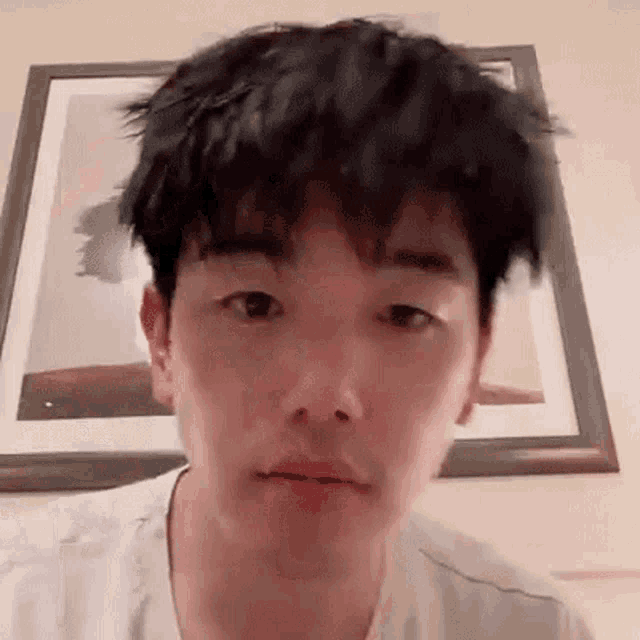 a young man with a messy haircut is making a funny face in front of a framed picture .