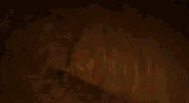 a blurred image of a person 's arm with a brown background