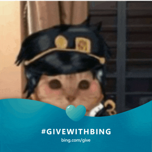 a picture of a cat wearing a hat with the words #givewithbing bing.com/give below it
