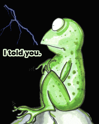 a frog sitting on a rock with a lightning bolt behind it and the words i told you