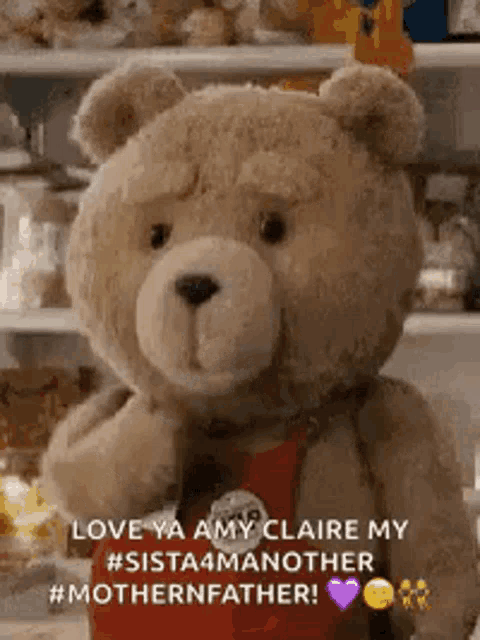 a teddy bear is sitting in front of a shelf with a red shirt on .
