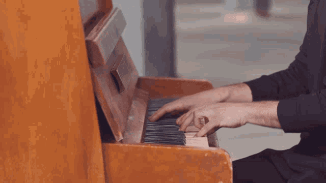 Playing Piano Josef Salvat GIF - Playing Piano Josef Salvat Hustler GIFs