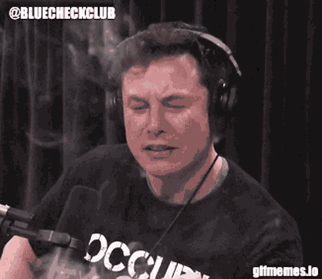 Elon Blue Check Nft GIF