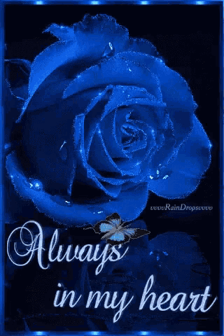 a blue rose with the words always in my heart on the bottom