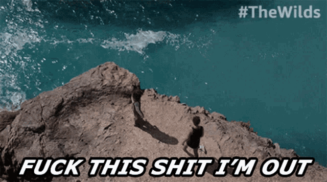 a man is standing on a cliff overlooking the ocean with the words " fuck this shit i 'm out " below him