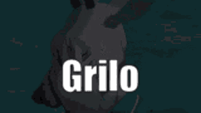 the word grillo is written in white on a black background