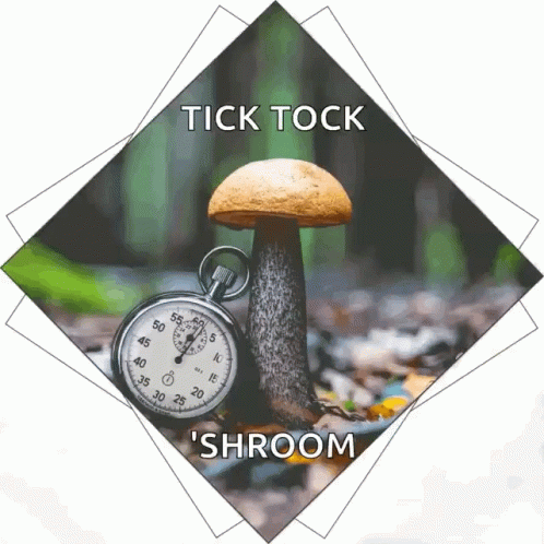 Ticktick Mushroom GIF