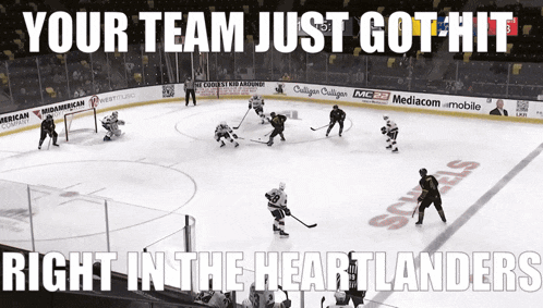 a hockey game is being played with the words your team just got hit right in the heart landers