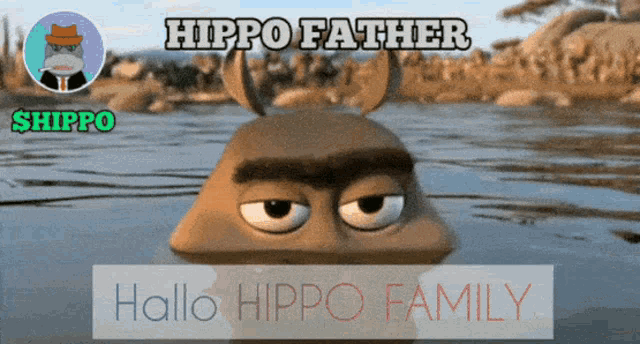 Hippo Hippocoin GIF - Hippo Hippocoin Hippofather GIFs