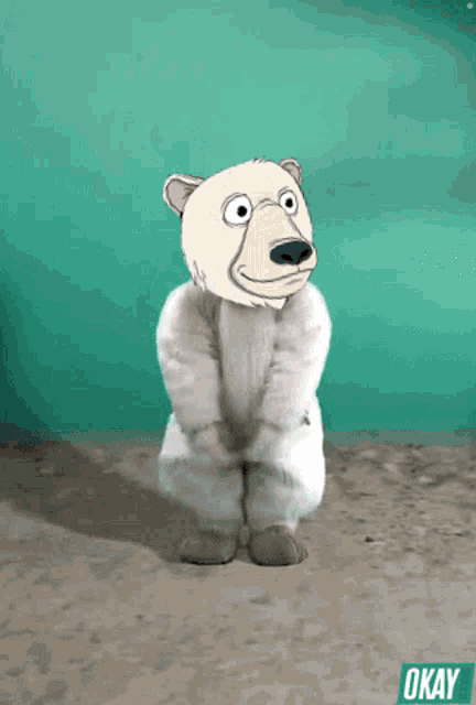 a cartoon polar bear is standing in front of a green wall with the word okay below it