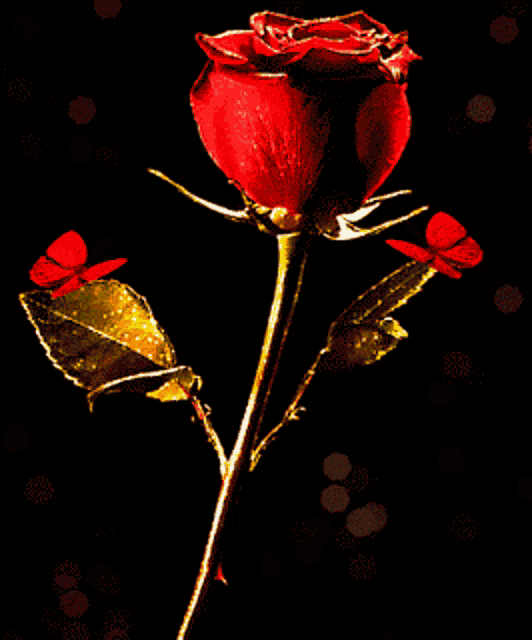 a red rose with gold leaves and two butterflies on it