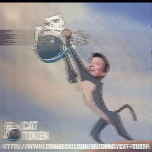 Elon Musk Elon GIF - Elon Musk Elon Cat Token GIFs