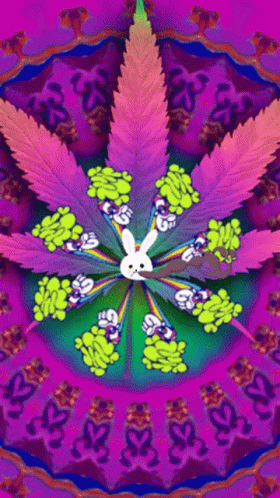 Bad Bunny420 Smokin GIF - Bad Bunny420 Smokin Pot GIFs