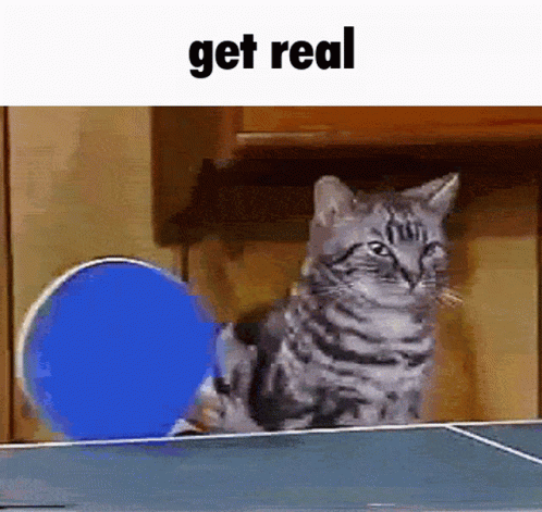 Get Real Cat GIF - Get Real Cat Ping Pong GIFs