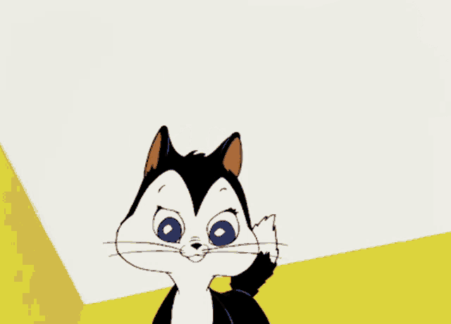 a black and white cat with blue eyes is being petted by a brown hand