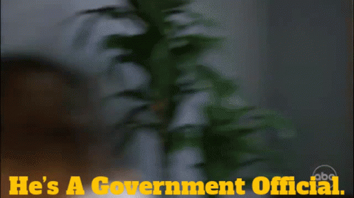Station19 Carina Deluca GIF - Station19 Carina Deluca Hes A Government Official GIFs