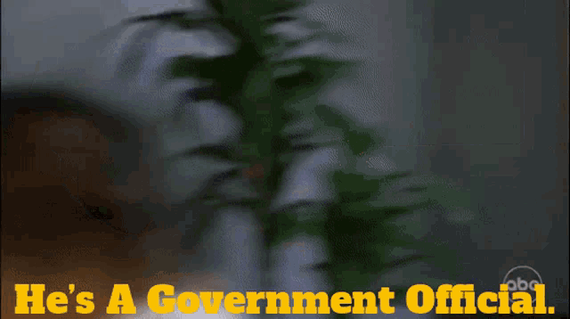 a blurred image of a person with the words he 's a government official