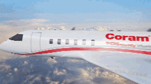 Coram Fly GIF - Coram Fly Airplane GIFs