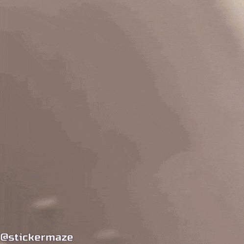 Cat Animal GIF