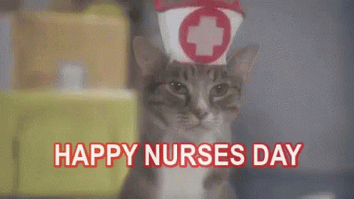 Happy Nurse Day Cat GIF - Happy Nurse Day Cat Nurse GIFs